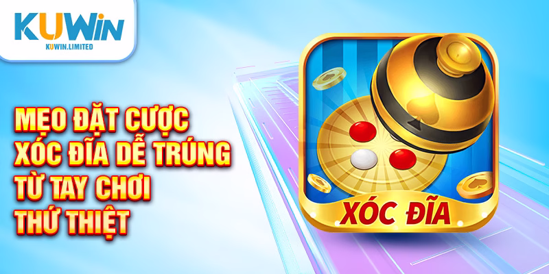 Mẹo đặt cược xóc đĩa dễ trúng từ tay chơi thứ thiệt